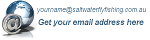 Email Accounts