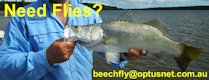 Beech Flies