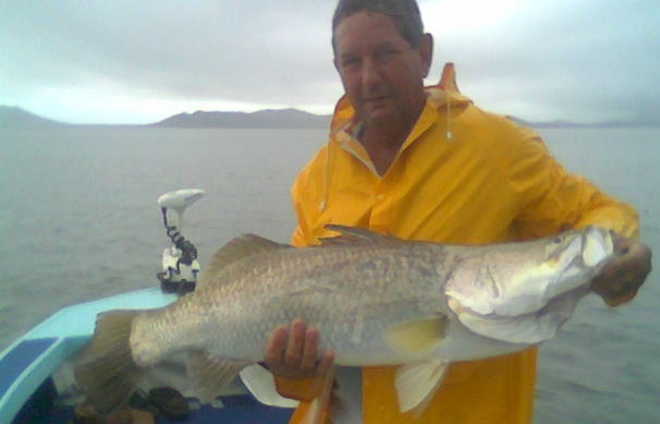 Franks metre Barramundi